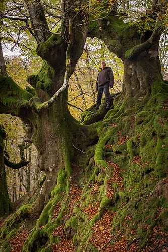 dentrodelojo_5-copia