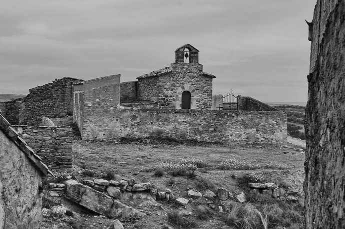 _DSC0249