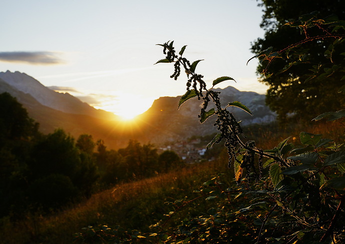 _DSC7025_redimensionar