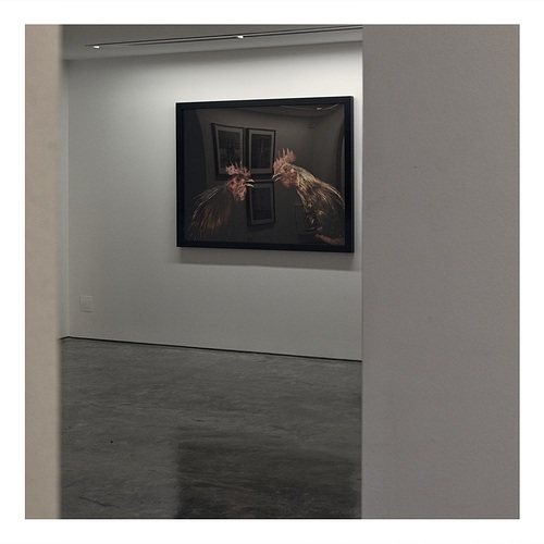 _DSF2324
