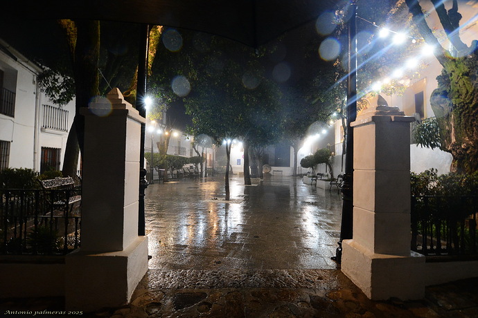 La plaza