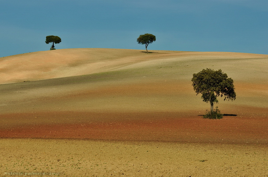 Tierras de secano