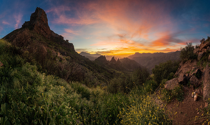 dejemosentraralaprimaver2-copia