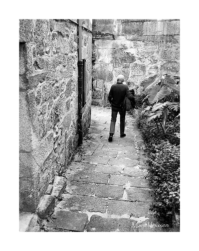 EL-CALLEJON-web