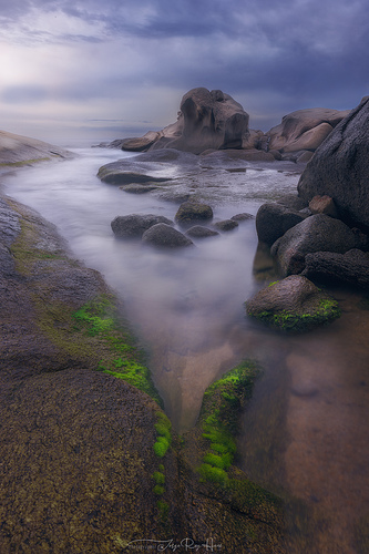 JRH_REY2317-EditarOD