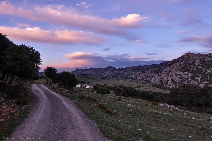 camino al cortijo