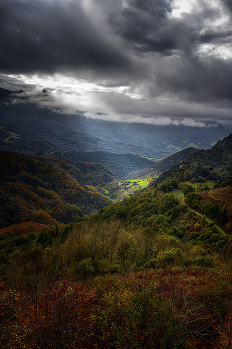 valle aralar 1_dsc3111