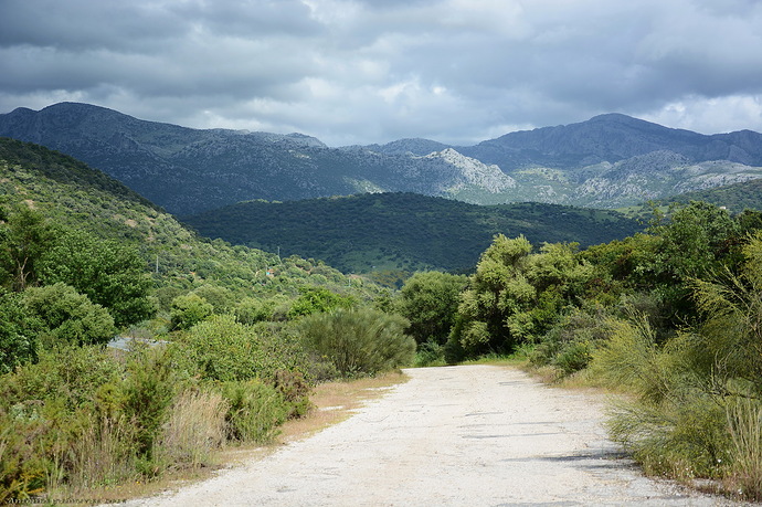 camino a la montaña