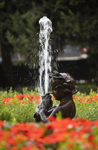 Fuente