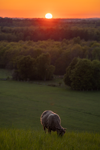 AlAtardecer