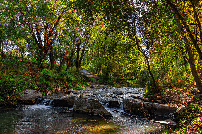 IMG_9745-Mejorado-NR