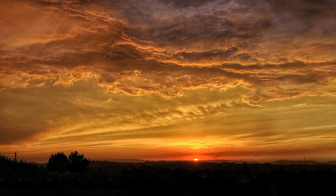 Divino Atardecer OD