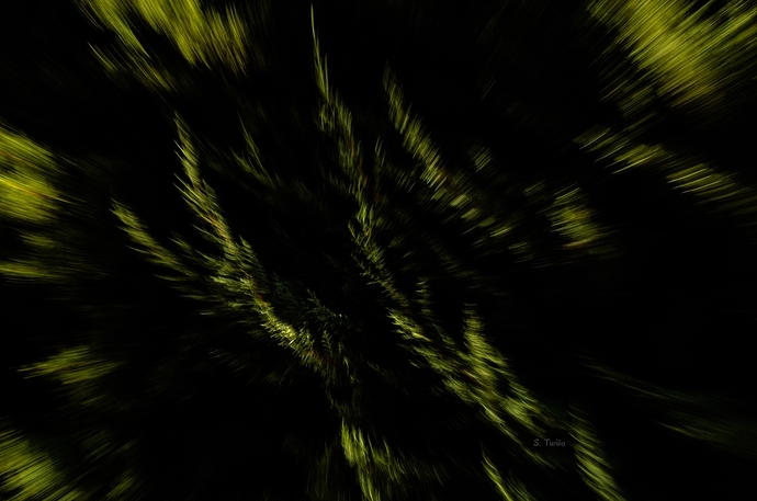 Buscando los límites