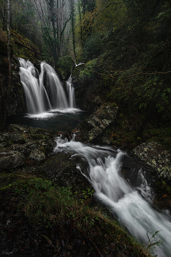 _DSC4410bbbbforo