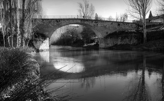 _DSC0259.NEF D90 (13)