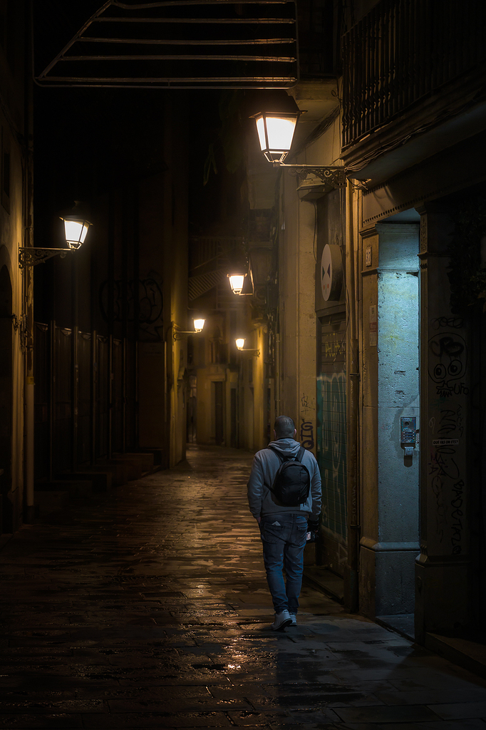 El despertar de Barcelona (Para franlatorre)