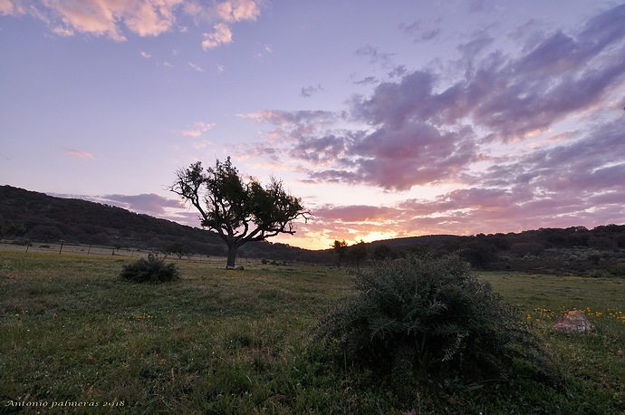 Luces del amanecer 1