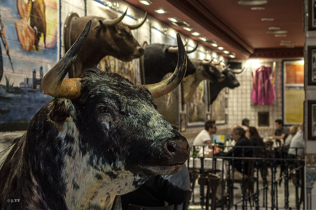 El 5º toro