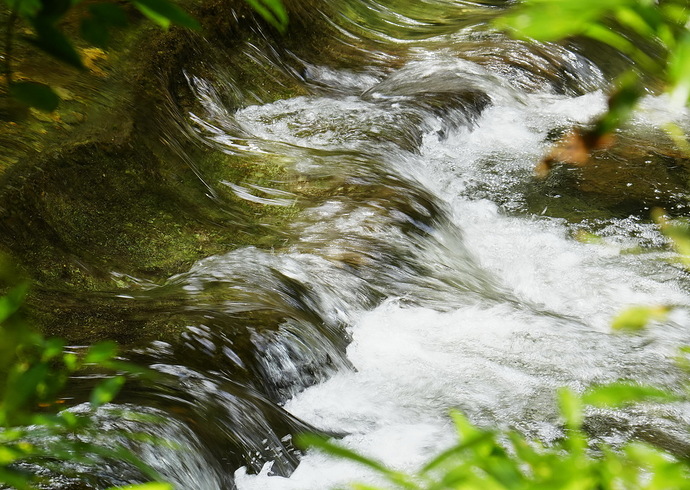 _DSC4551