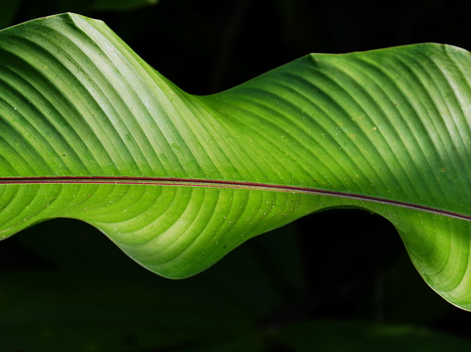 _DSC4630