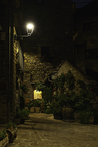 DSC_0562 copia