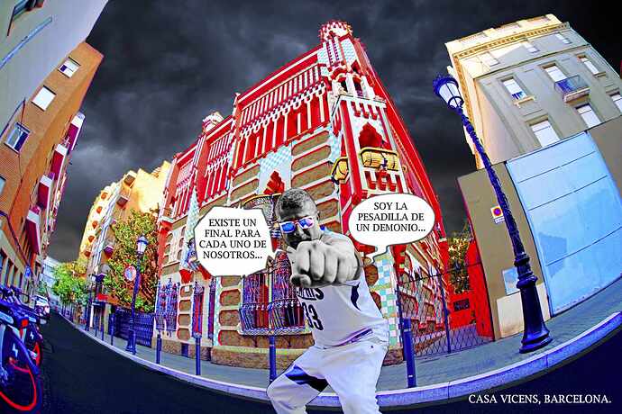 CASA VICENS