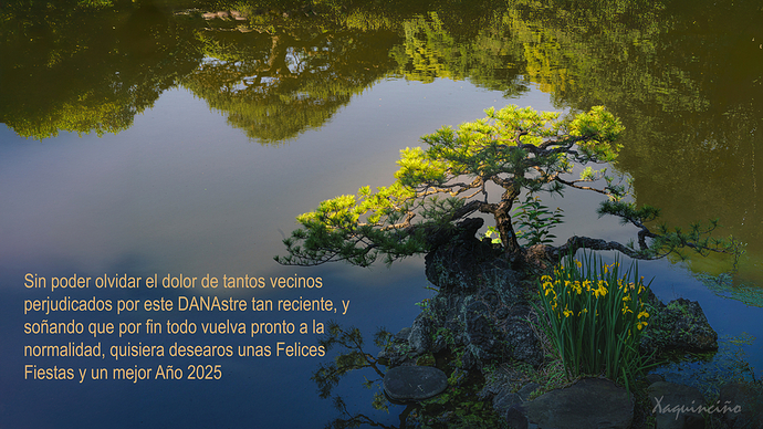 Felicitacion 2025