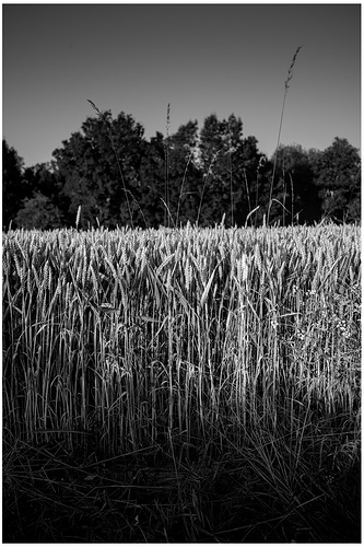 DSCF5790