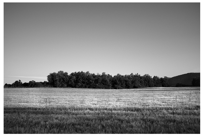 DSCF5799