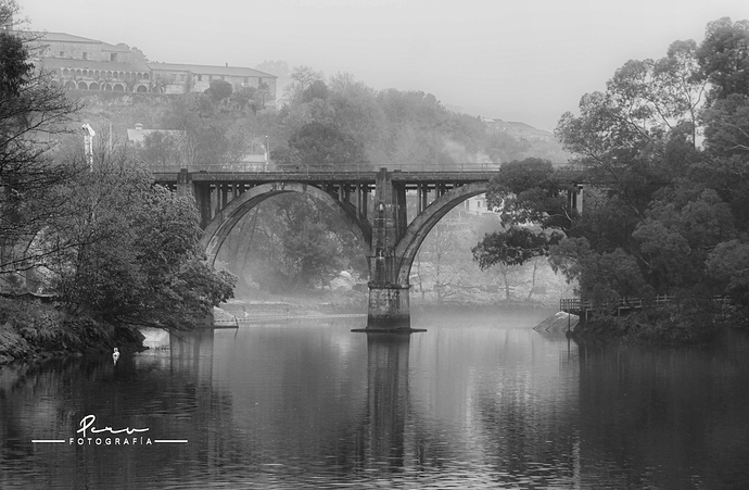 puente del tren_