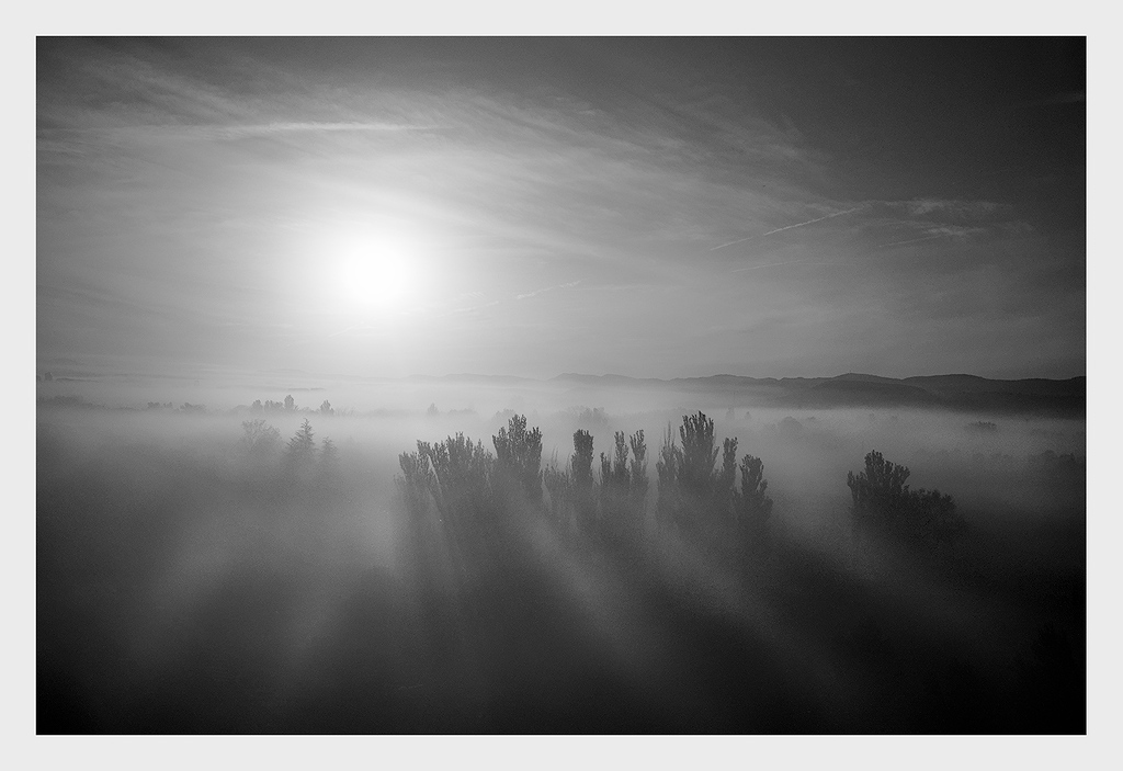 Paisaje en B/N