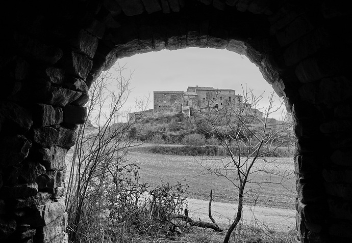 _DSC0260