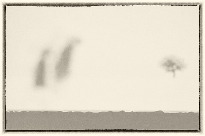 DSCF9709