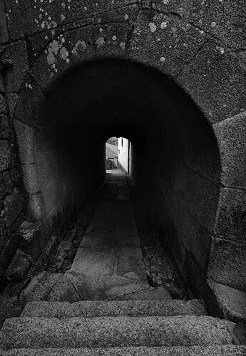 55174108418_929fa1b048_b