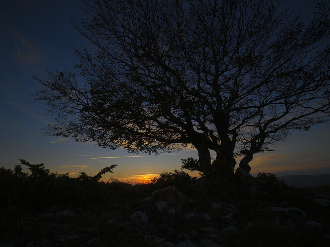 Atardecer_1
