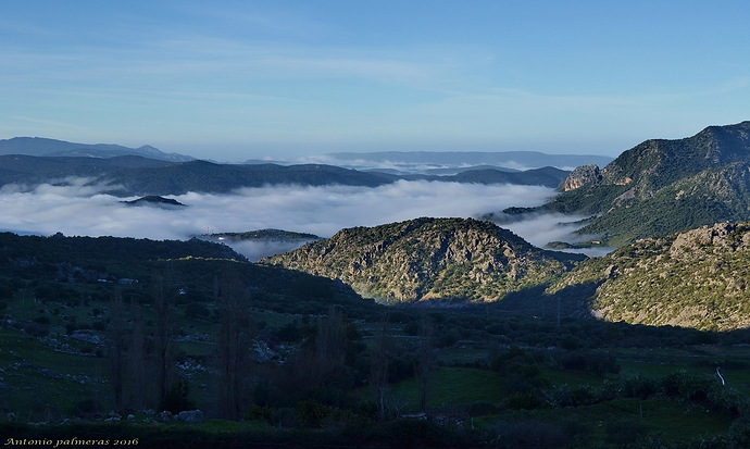 nieblas matinales 2