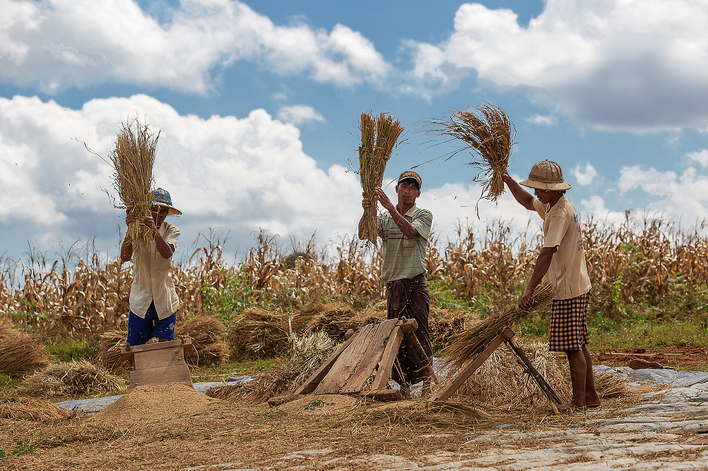 Trabajos en el campo