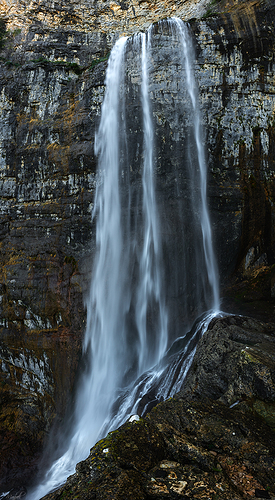 _DSC0404-bbbbins