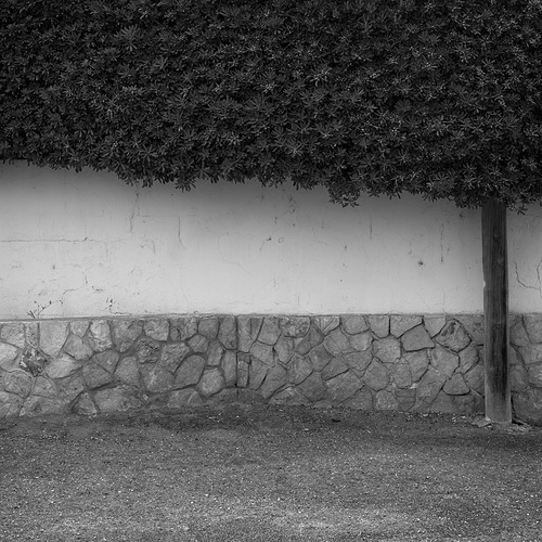 _XE21727
