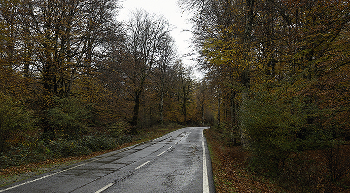 Caminos del P. N. de Urbasa