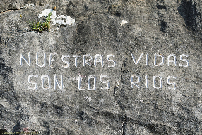 grafitis para toda la vida