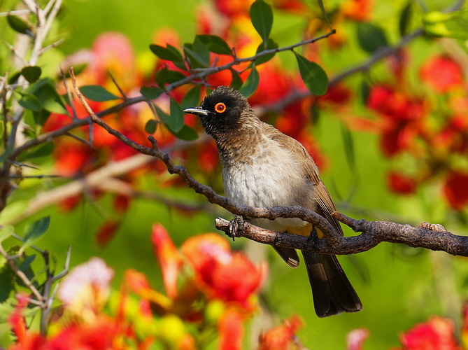 _DSC9001_redimensionar