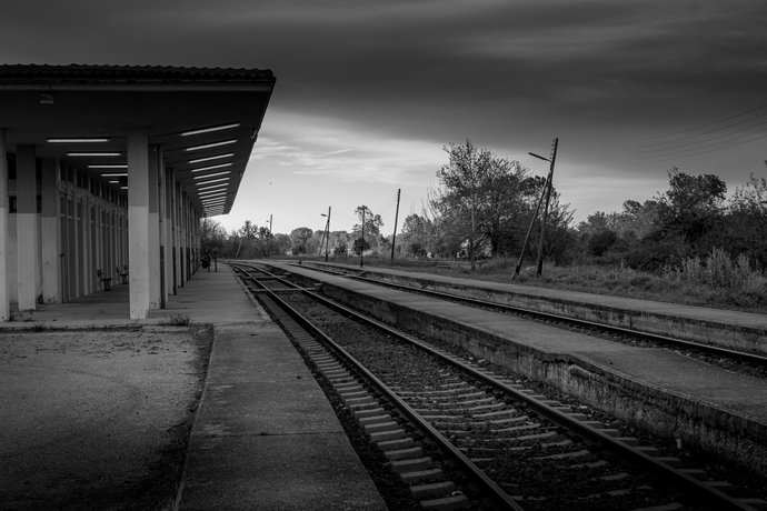 _MG_3155