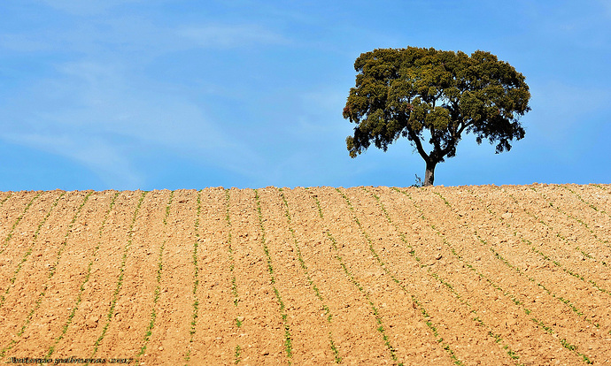 a7b4bc0f64b82b1ebc67ee3df02a5a65a8baff9b