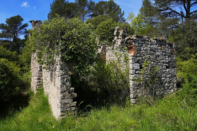 _DSC5652_redimensionar