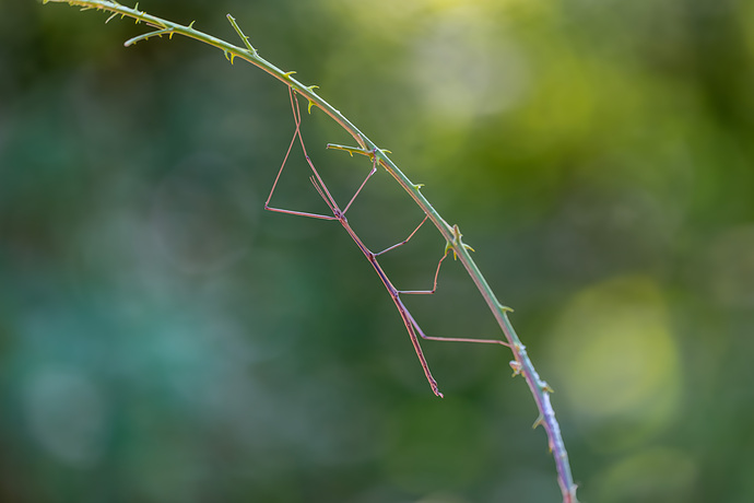 _DSC5083