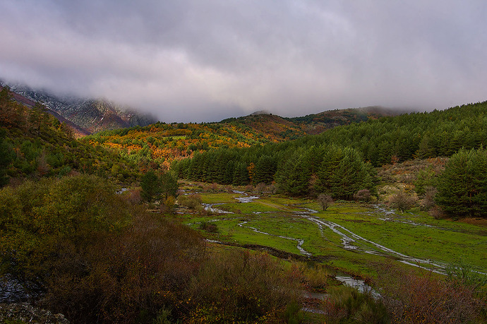 DSC_8069  -2