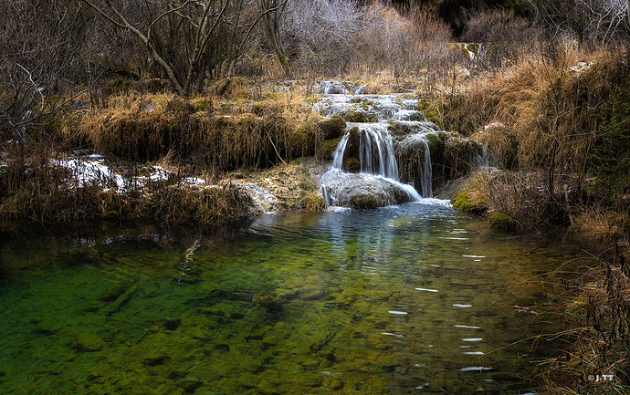 _DSC6460