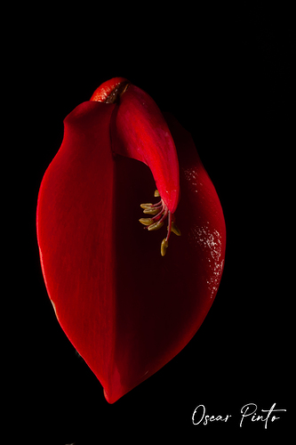 _DSC0057