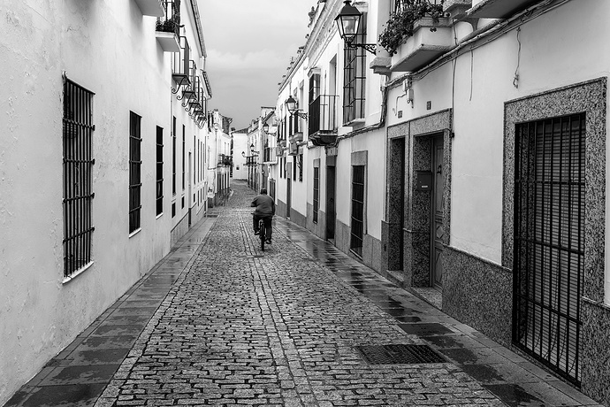 ZAFRA-2021-5756